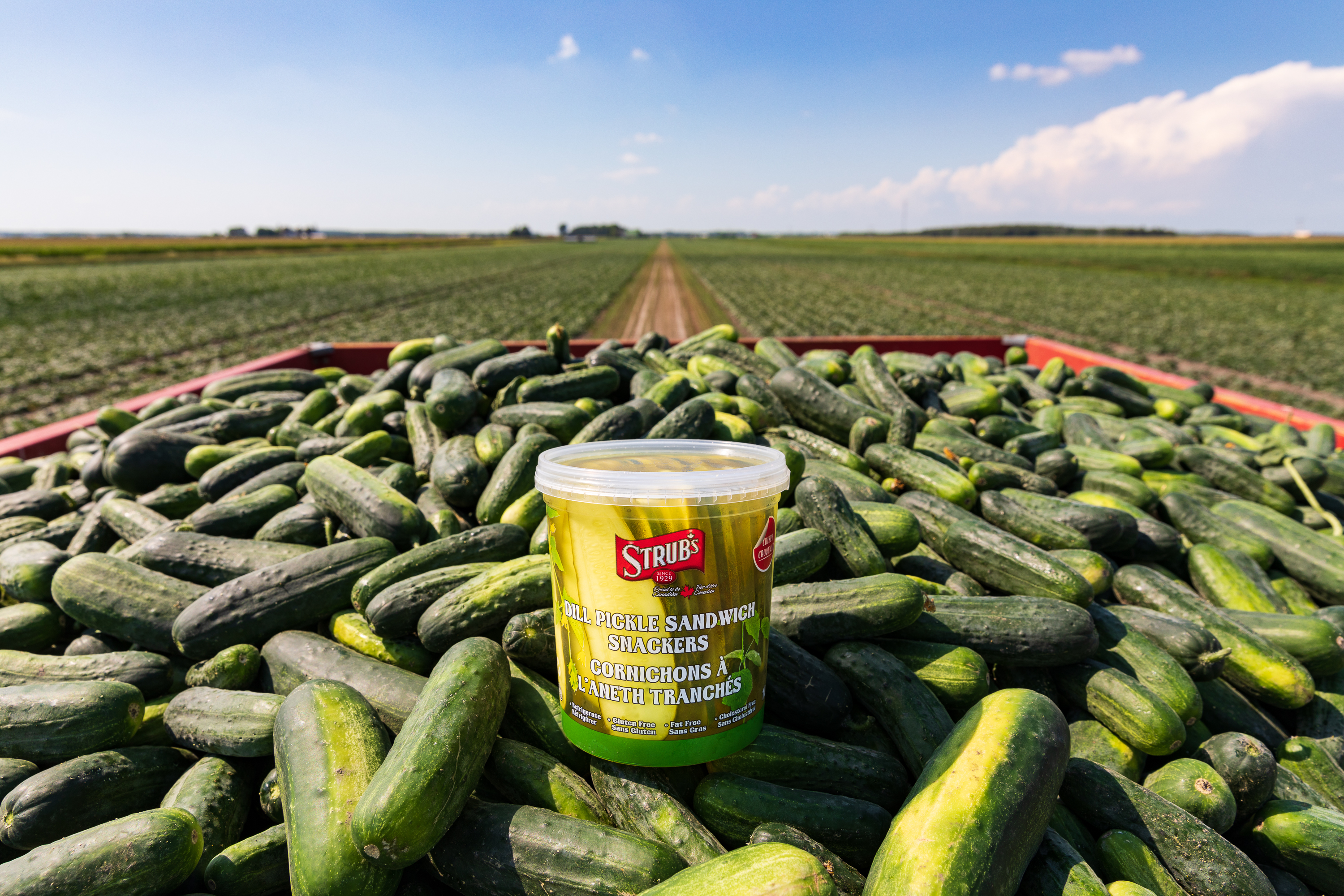 C'est la fête du cornichon! Produit à découvrir Blogue Aliments