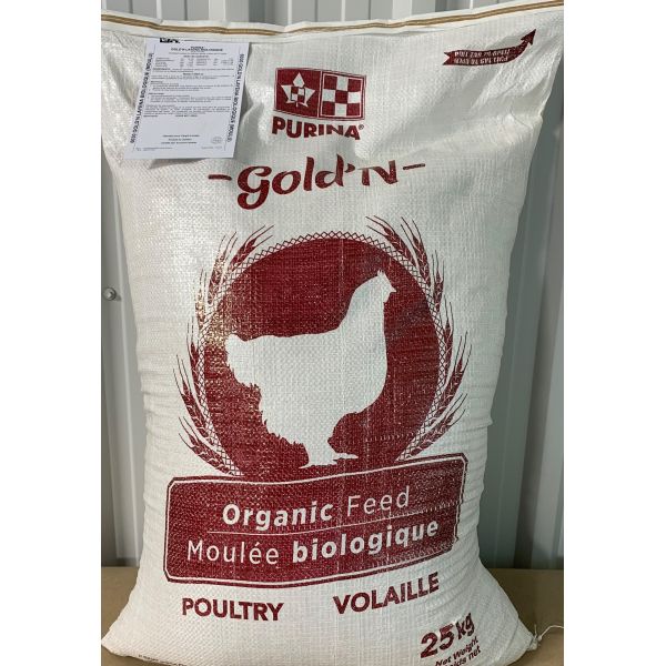 Organic feed chicken - Gold'n Layena | Ferme Bio-rard | Aliments du Québec