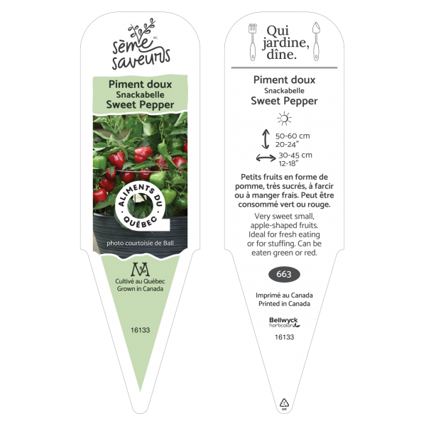 Pepper Snackabelle plant SèmeSaveurs Aliments du Québec