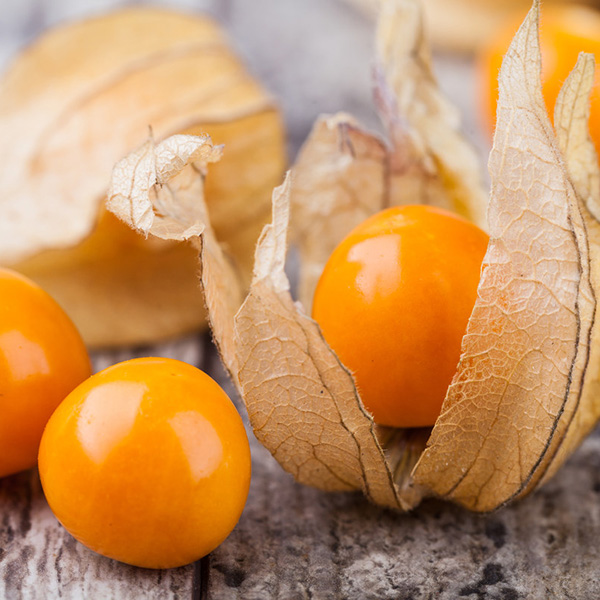 What You Should Know About Ground Cherries Good To Know Discover Quebec Food Products Aliments Du Quebec